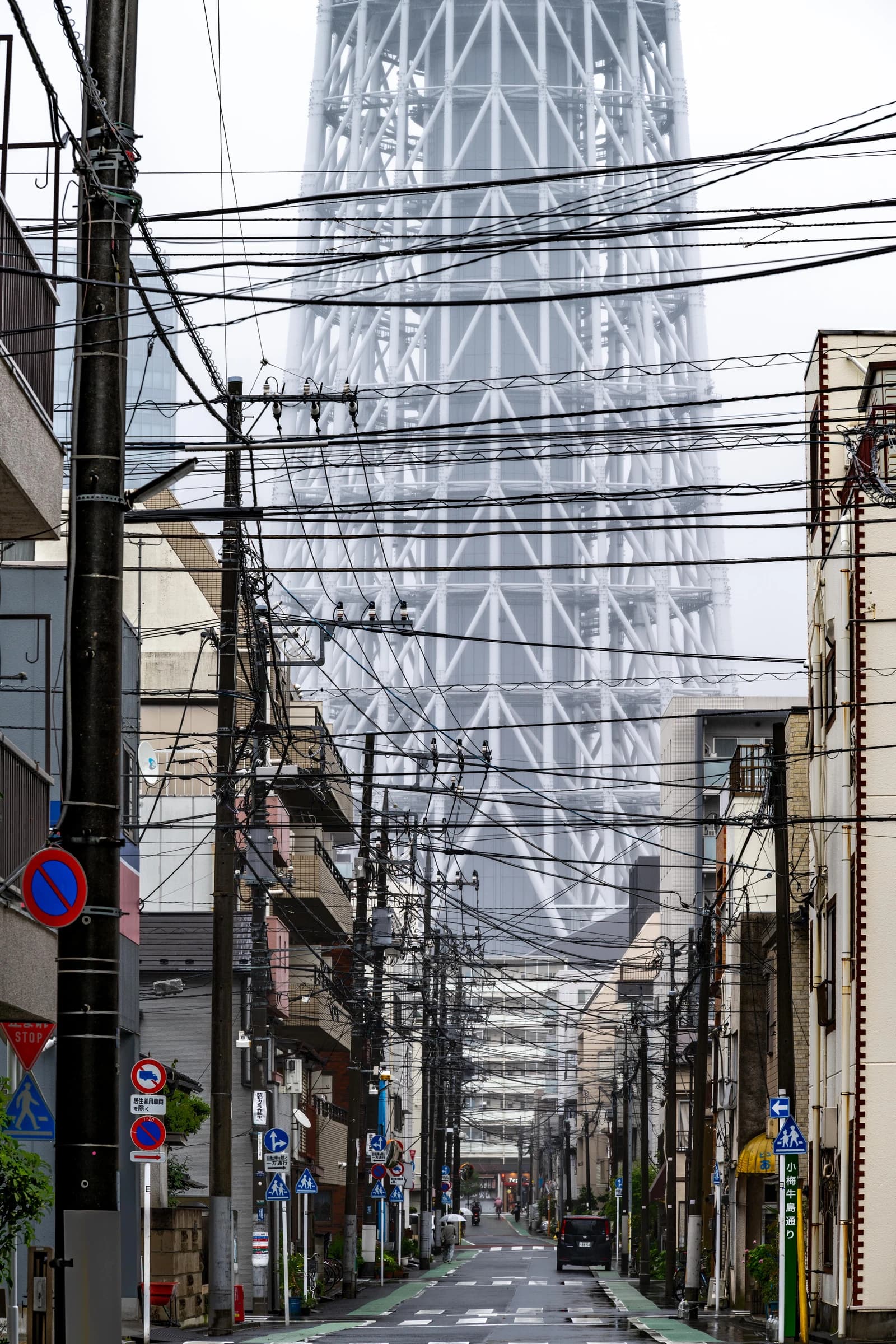 Trunk of the Skytree