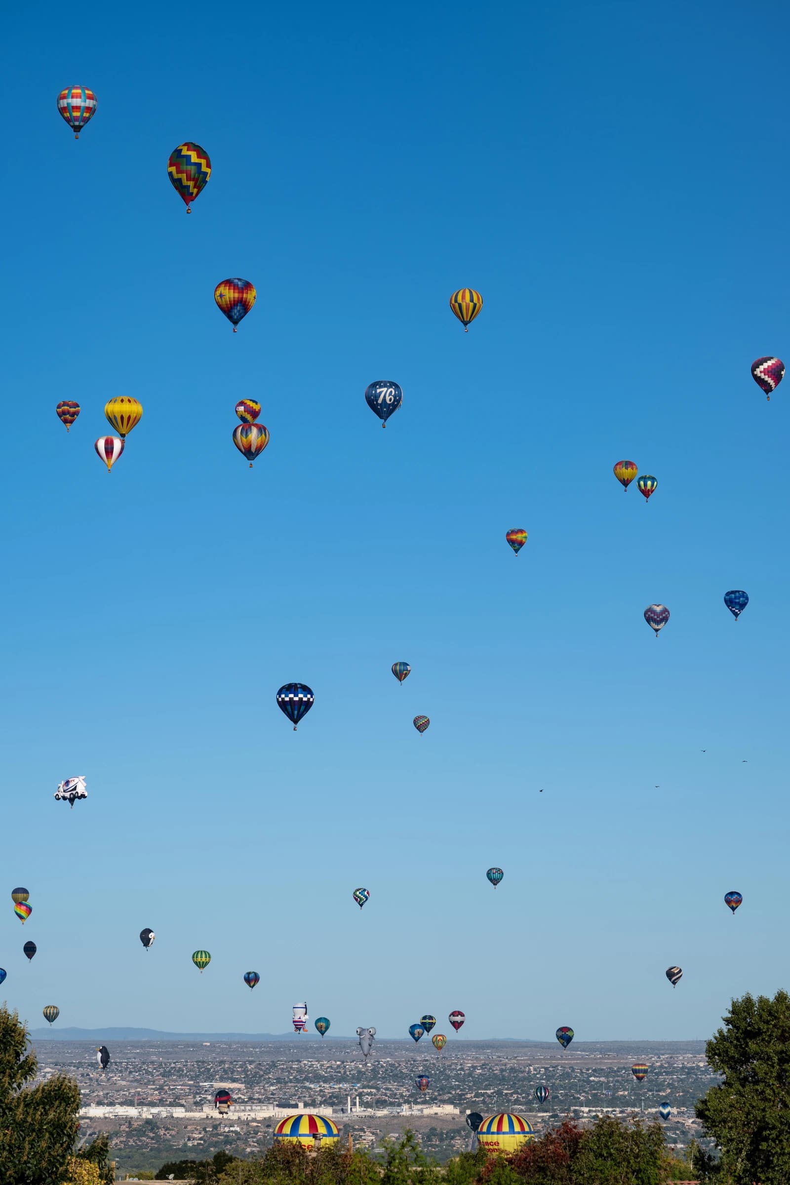 2025 ABQ Balloon Fiesta