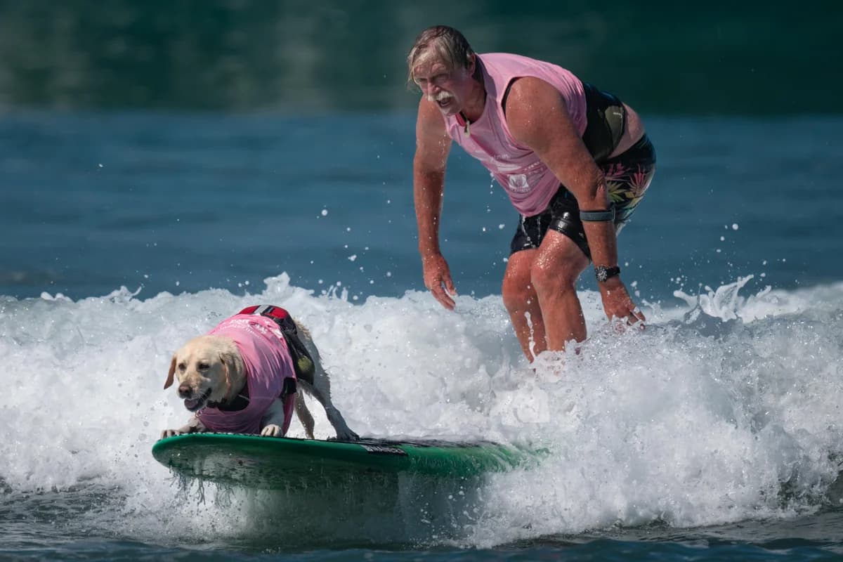2025 Surf Dog Surfathon