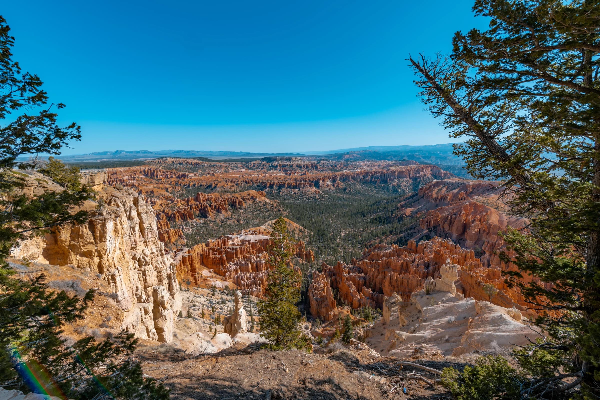 2022 Utah