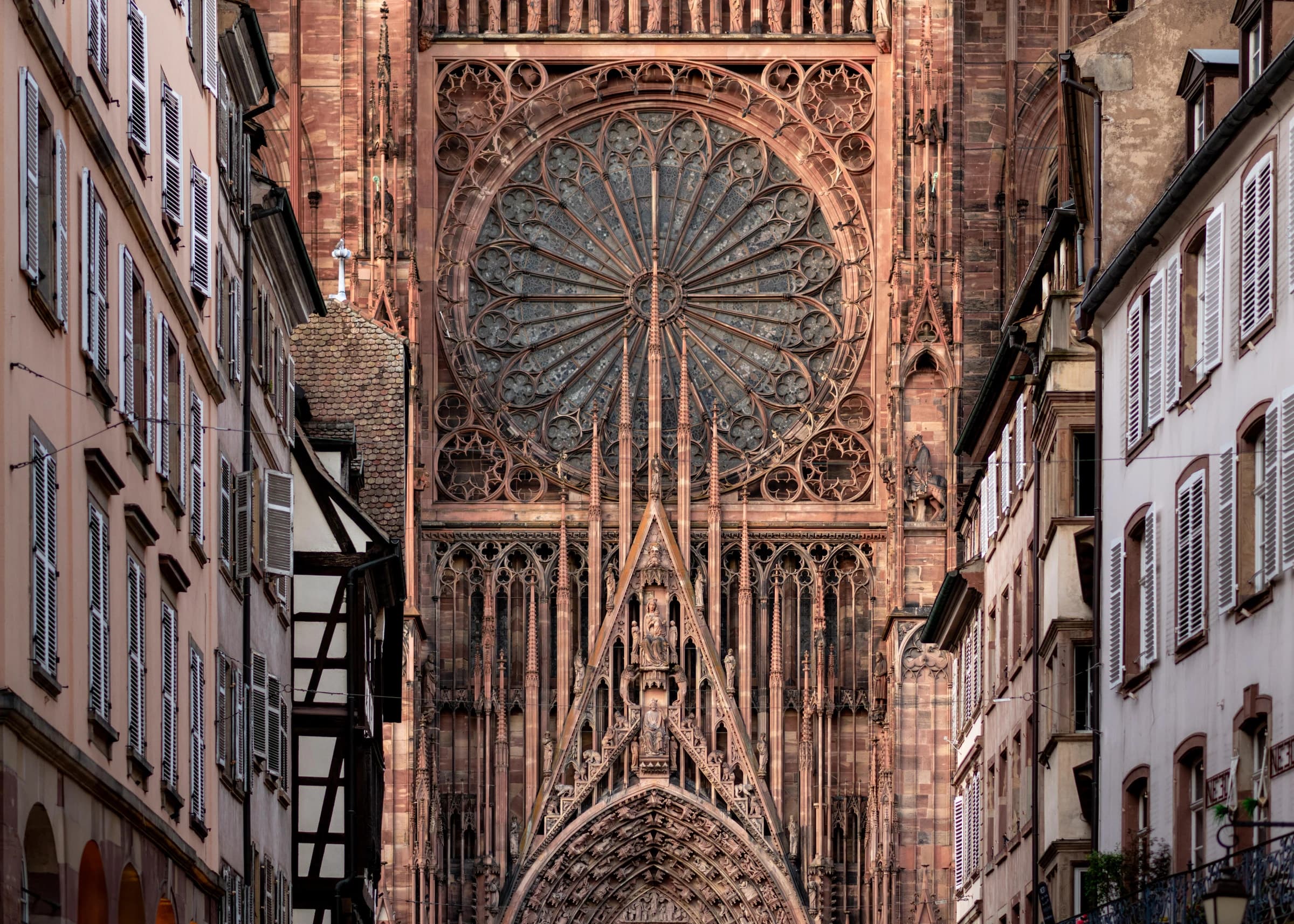 The Rose of Strasbourg
